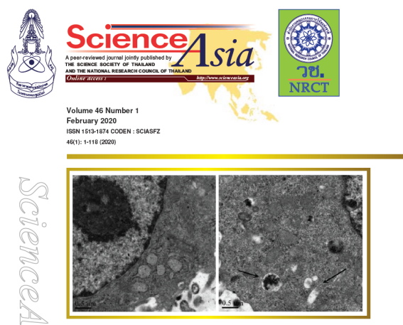cover-image
