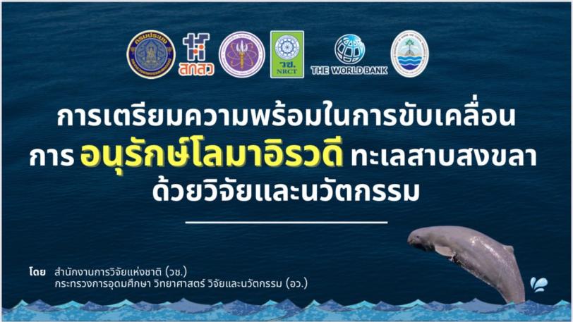 cover-image