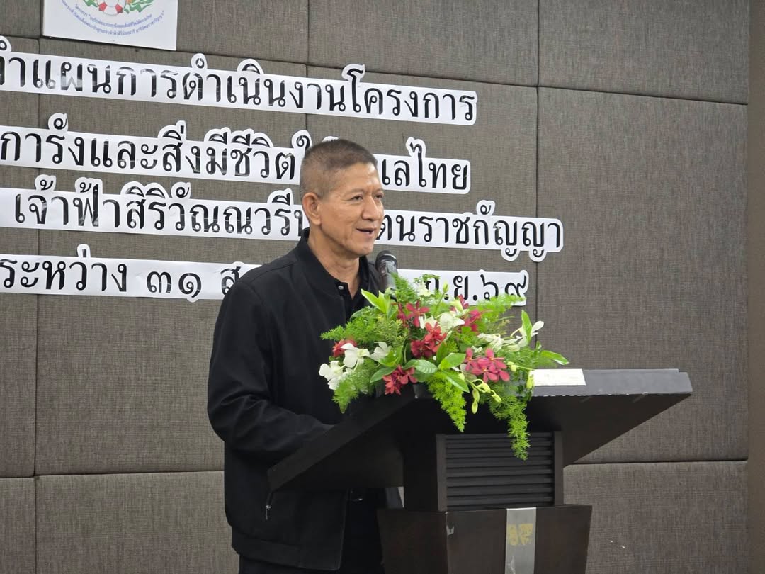 รายละเอียดตำแหน่งงาน